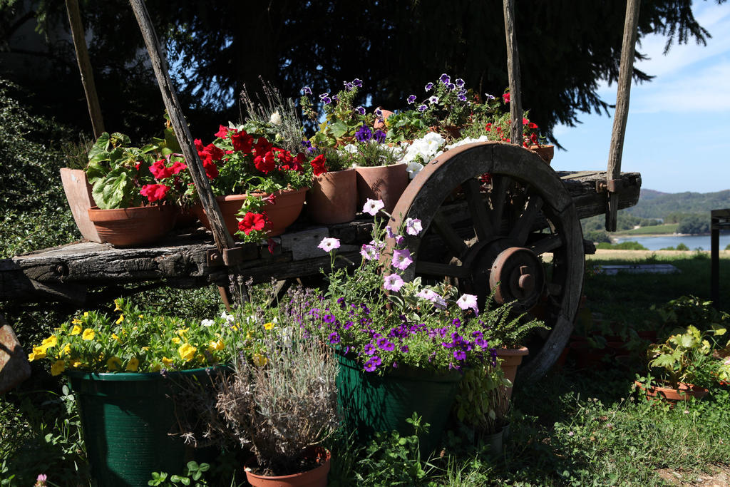 Casa De Darei Guest House Мангуалде Екстериор снимка